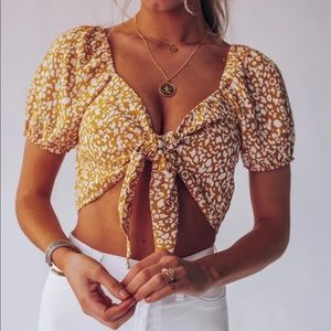Nadine Leopard Crop Top